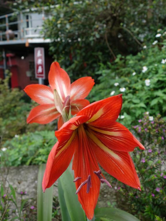 Way Young House Jiufen Exterior photo